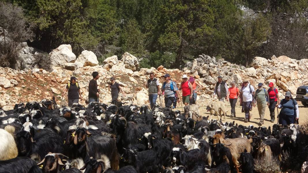 Son konargöçerler Konya'ya geliyor 7
